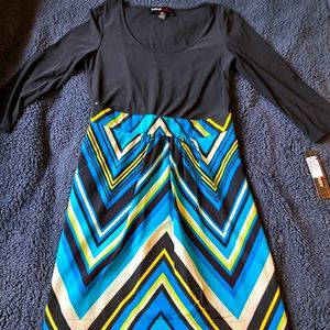 NWT Miss 60 Dress